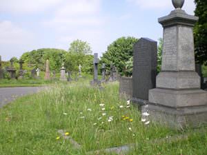 Undercliffe Cemetery views